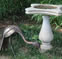 Sample Photo